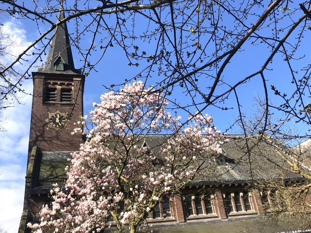 Waalse Kerk Rotterdam